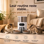 Distributeur automatique de croquettes | Duo