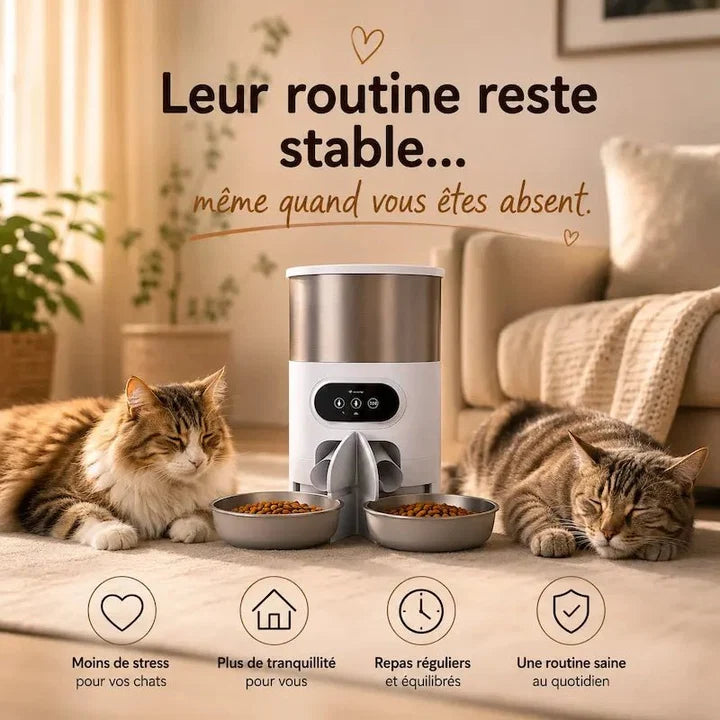 Distributeur automatique de croquettes | Duo