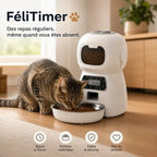 Distributeur de Croquette pour Chat Connecté | Sereine
