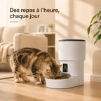 Distributeur croquettes intelligent chat | Smart