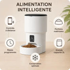 Distributeur croquettes intelligent chat | Smart