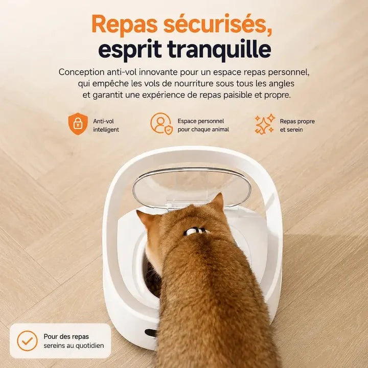 Distributeur croquettes sur mesure multi-animaux | Smarto