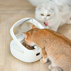 Distributeur croquettes sur mesure multi-animaux | Smarto