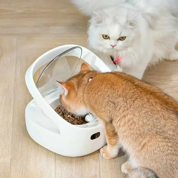 Distributeur croquettes sur mesure multi-animaux | Smarto