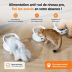 Distributeur croquettes sur mesure multi-animaux | Smarto