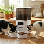 Distributeur de Croquette pour Chat Automatique Caméra | Surveille