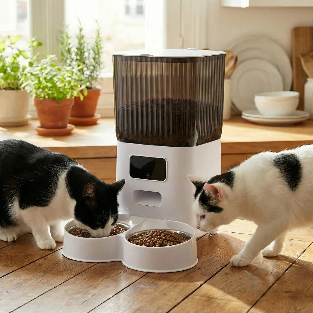 Distributeur de Croquette pour Chat Automatique Caméra | Surveille