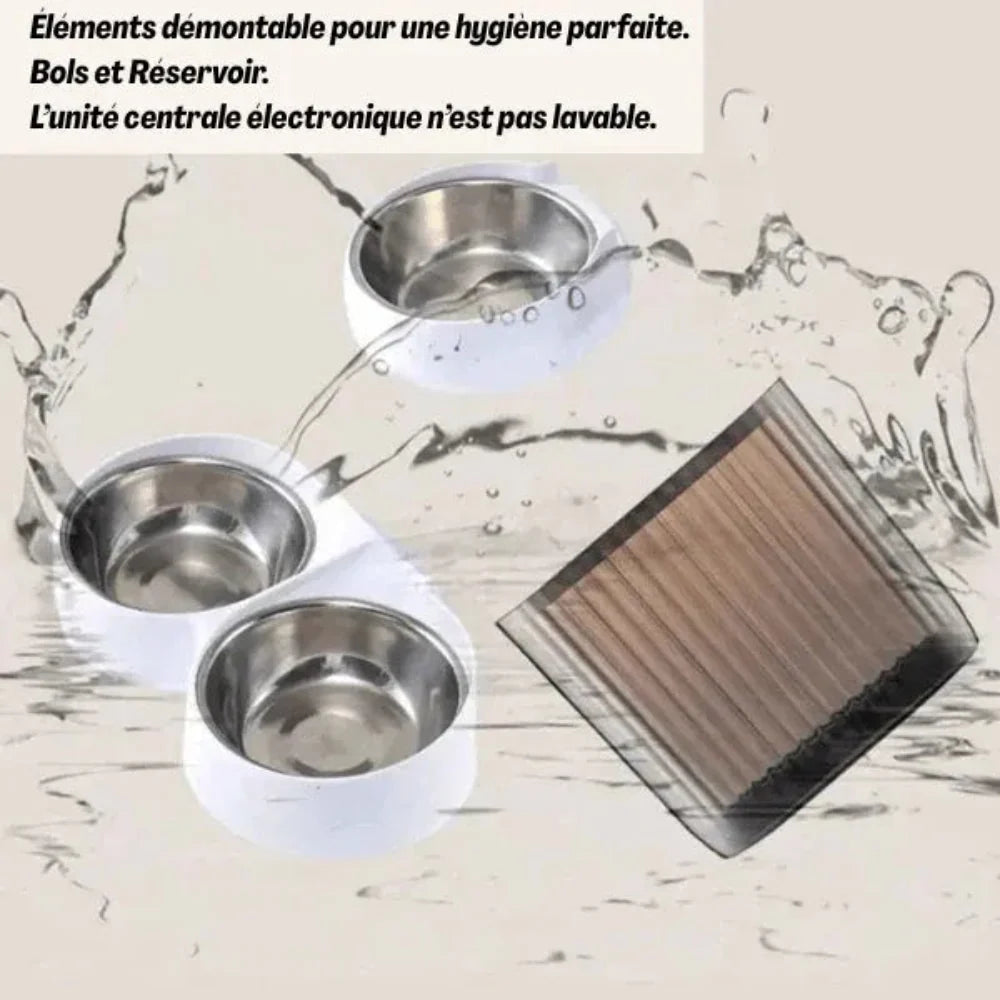 Distributeur de Croquette pour Chat Automatique Caméra | Surveille