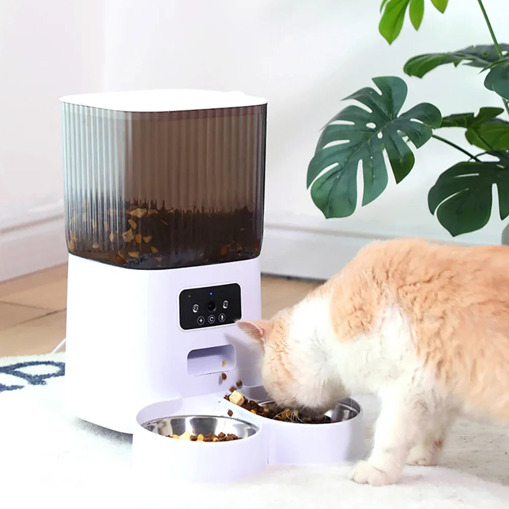 Distributeur de Croquette pour Chat Automatique Caméra | Surveille