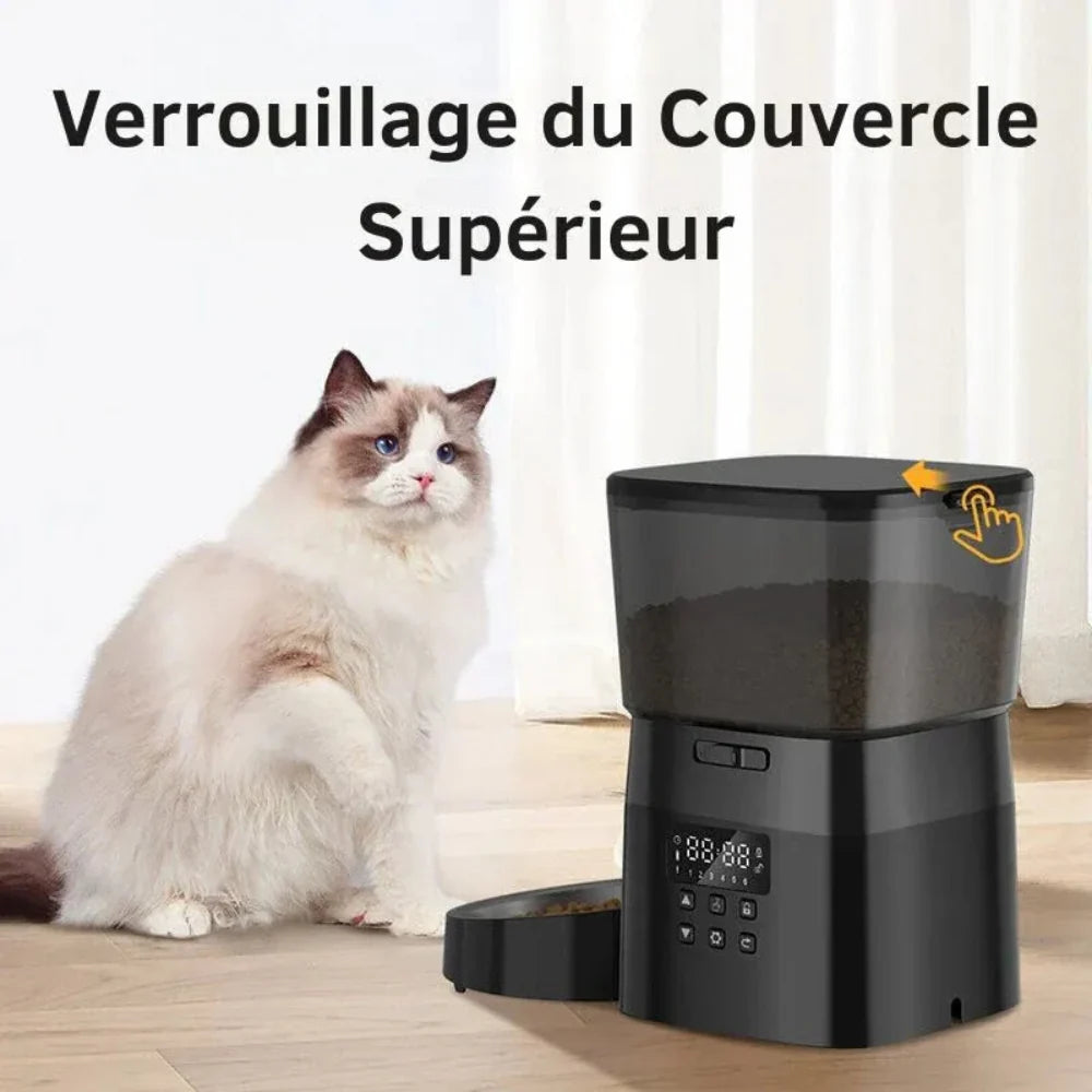 Distributeur croquettes chat connecté | connecti