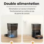 Distributeur croquettes chat connecté | connecti