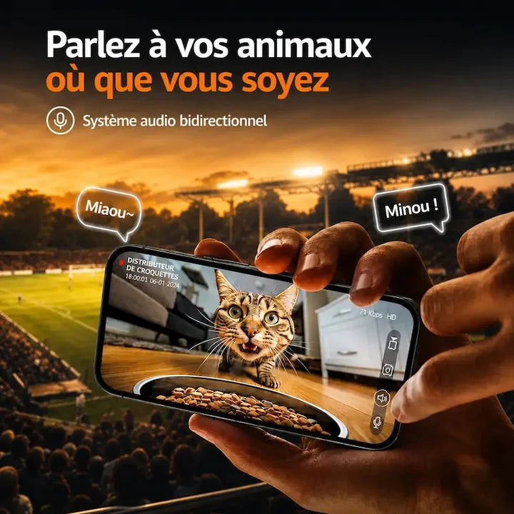 Distributeur de croquettes chat caméra intelligente | Miaou