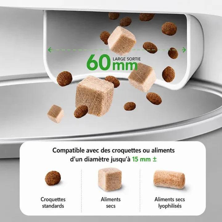 Distributeur de croquettes chat caméra intelligente | Miaou
