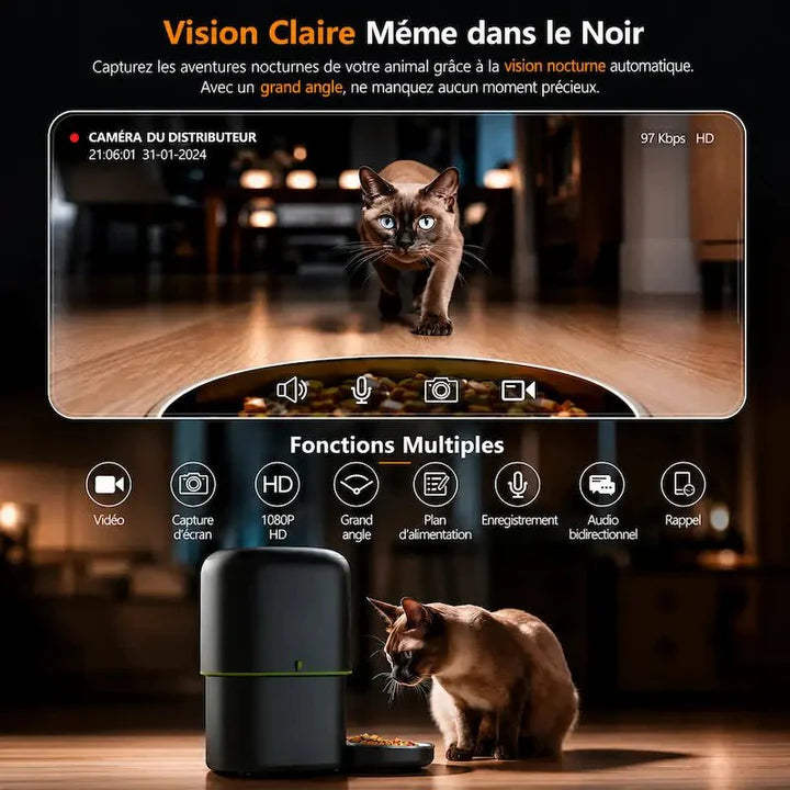 Distributeur de croquettes chat caméra intelligente | Miaou