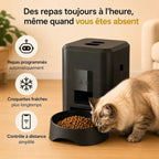 Distributeur Chat Croquette Automatique | Rituel