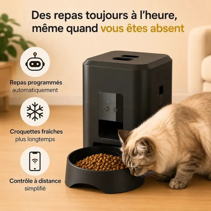 Distributeur Chat Croquette Automatique | Rituel