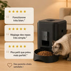 Distributeur Chat Croquette Automatique | Rituel