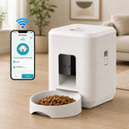 Distributeur Chat Croquette Automatique | Rituel
