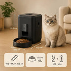 Distributeur Chat Croquette Automatique | Rituel