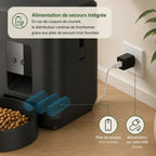 Distributeur Chat Croquette Automatique | Rituel