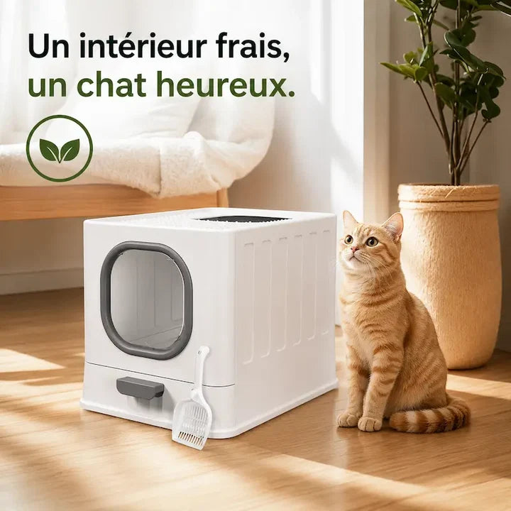 Litière chat anti odeur | Odor
