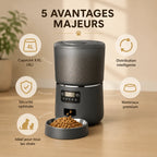Gamelle automatique chat | Croquibox