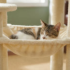 Arbre à chat angle xxl | Kawan