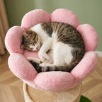 Grand arbre à chat fleur | Kusau