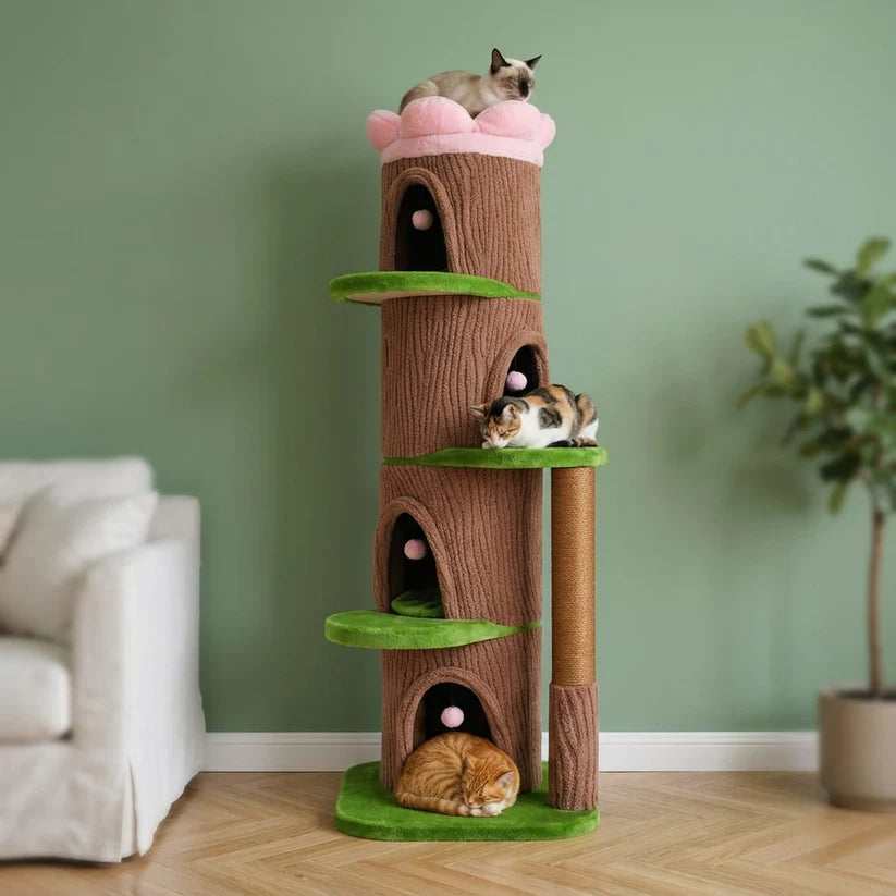 Grand arbre à chat fleur | Kusau