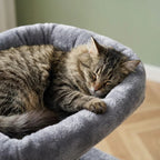 Arbre à chat xxl pour maine coon | Raiou