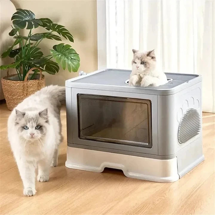 litière XXL pour chat  | Féli