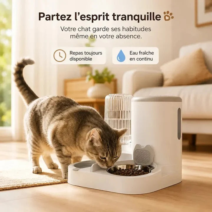 Mangeoire automatique pour chat | Félio