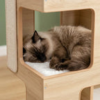 Arbre à chat bois design | Shimau