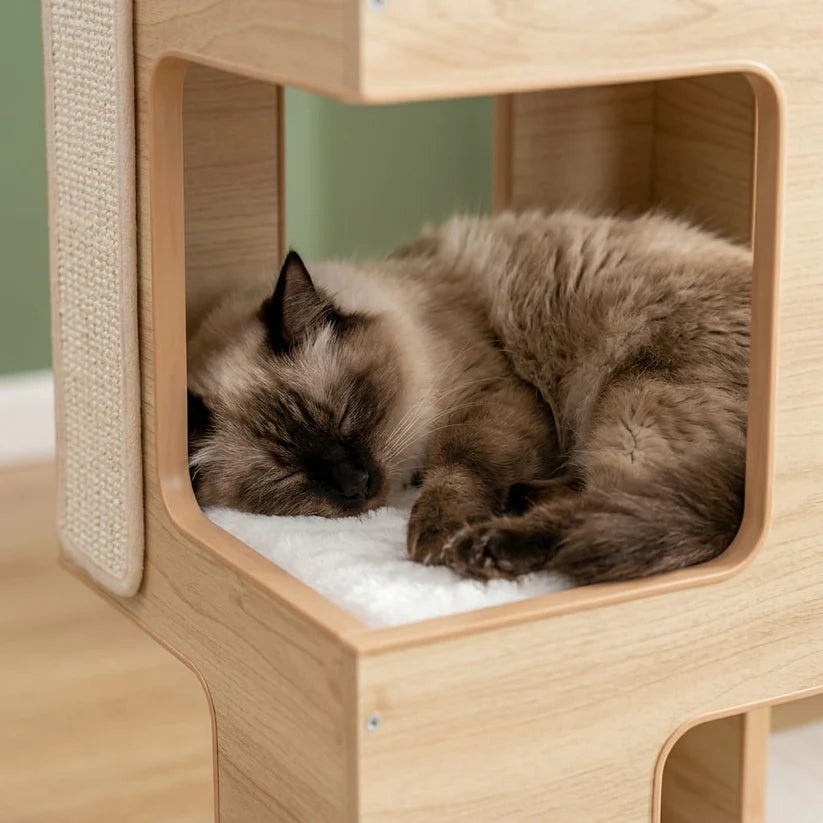 Arbre à chat bois design | Shimau