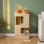Arbre à chat bois design | Shimau