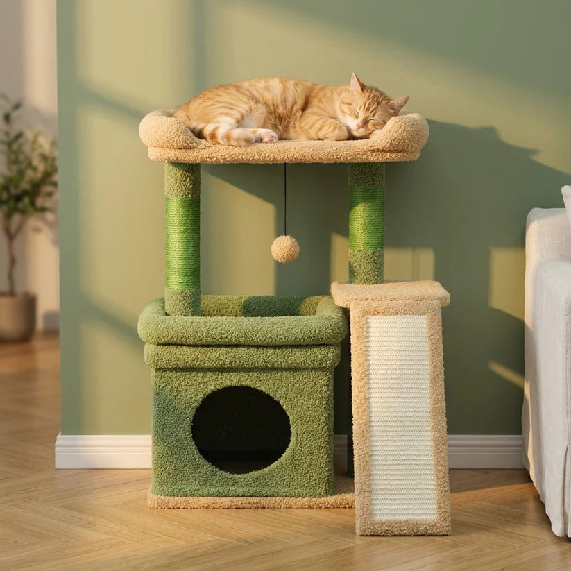 Petit arbre à chat avec boule | Sonoa