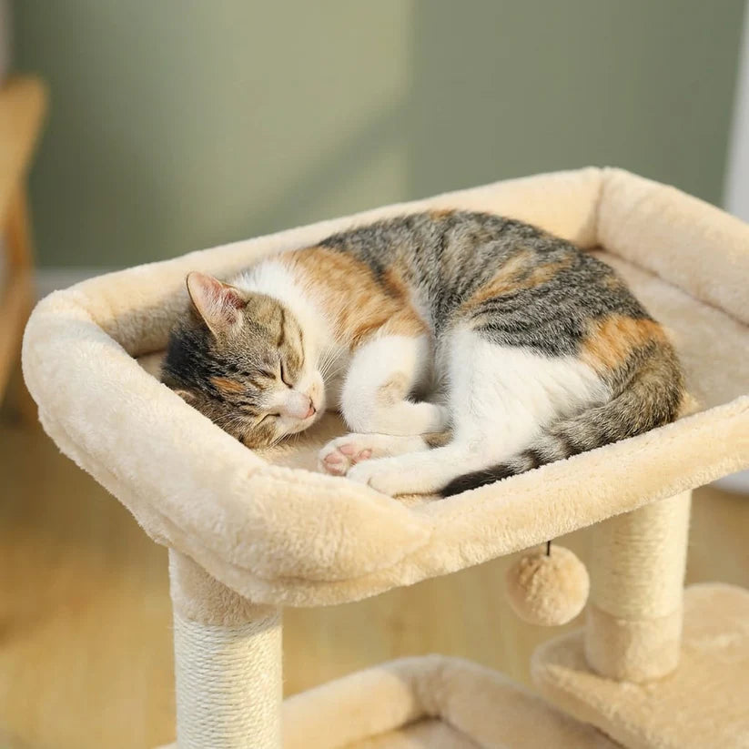 Petit arbre à chat avec boule | Sonoa