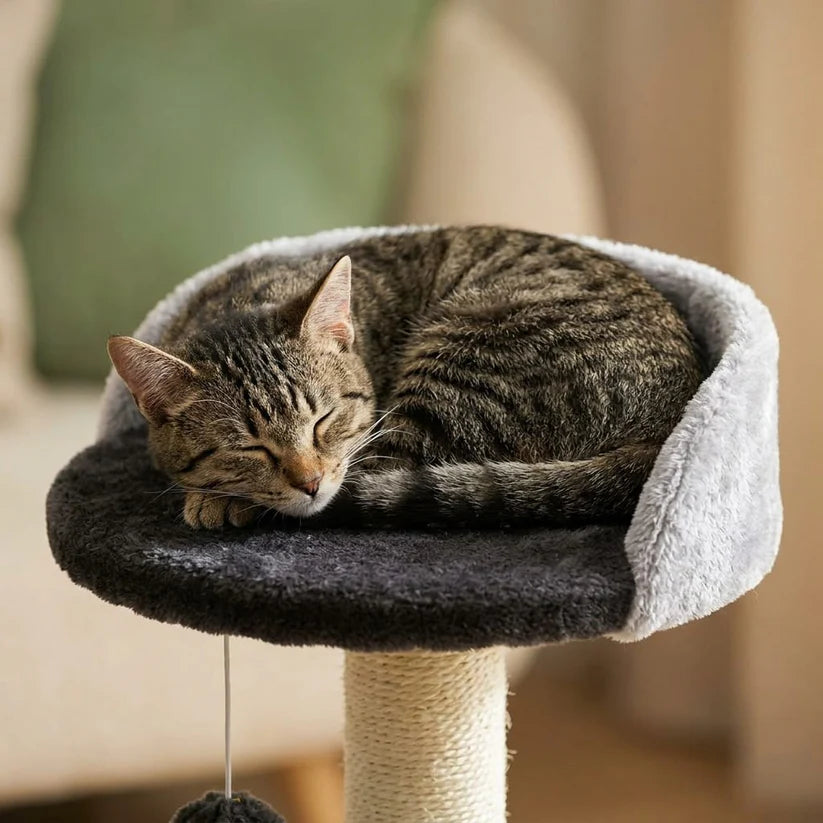 Arbre à chat beige 1 pied | Ichia