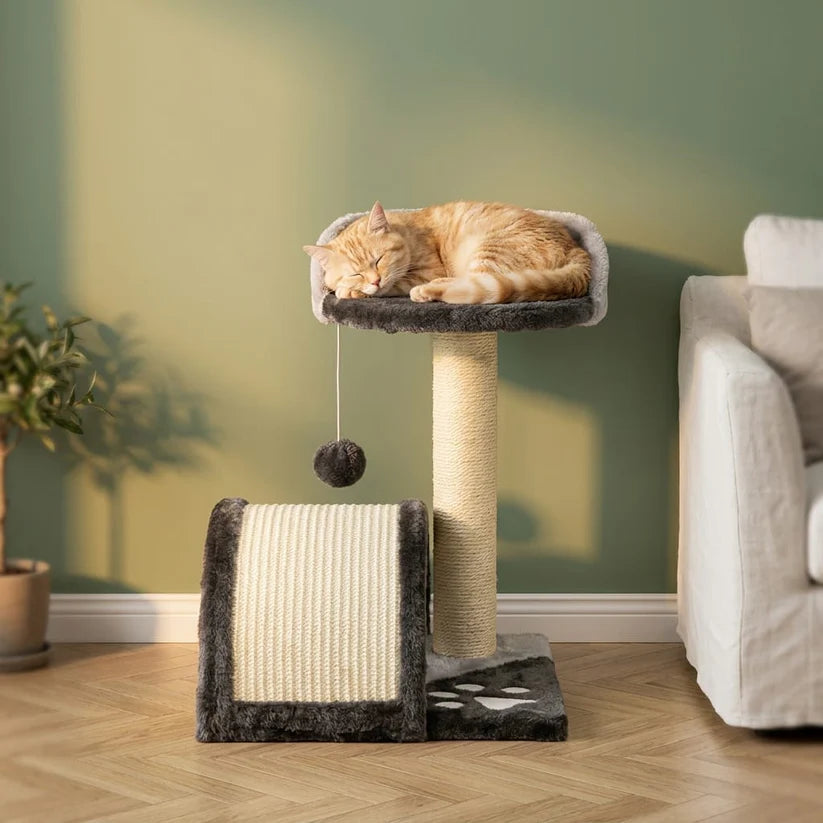 Arbre à chat beige 1 pied | Ichia